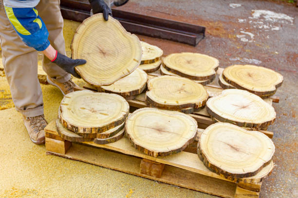 istock Worker are stacking cut wooden rings for decor on a pallet 1304227521