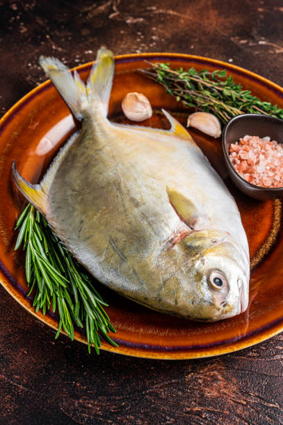 istock Fresh Raw Florida Pompano fish on a  rustic plate. Dark background. Top view 1304228296