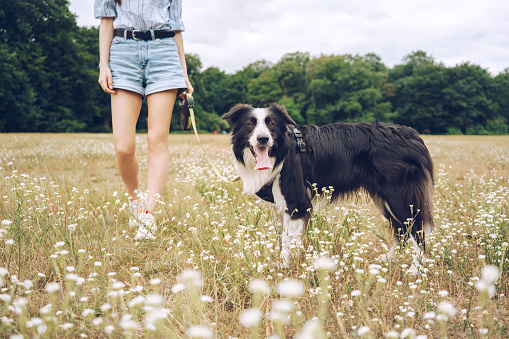 Young woman with a joyful dog outdoors