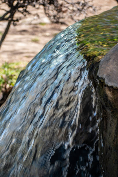 Small waterfall and river flows through Kenneth Hahn State Park in Los Angeles