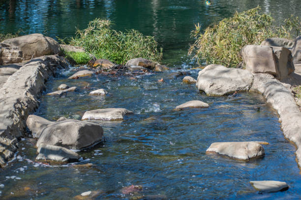 Small waterfall and river flows through Kenneth Hahn State Park in Los Angeles