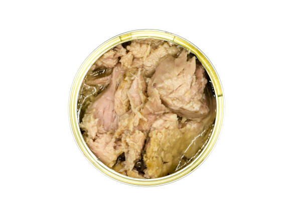 istock Canned tuna isolated on white background top view 1304234074
