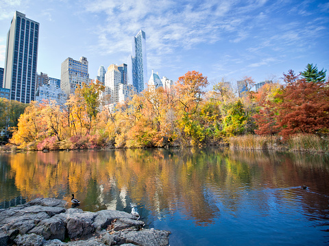 New York's Central Park and lake in the fall