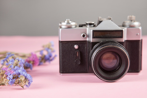 flowers with vintage camera on the pink background