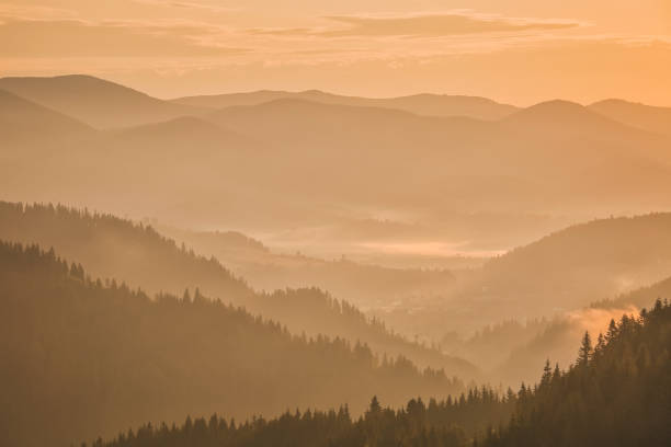 istock Mountains covered with woods in the early morning mist 1304239813