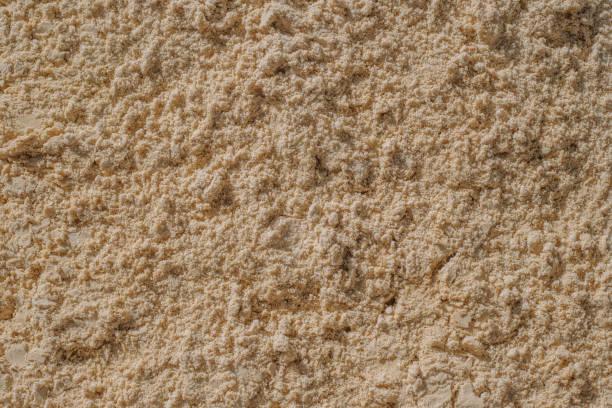 river yellow wet sand. natural background from many grains of sand, texture, pattern - sand river imagens e fotografias de stock