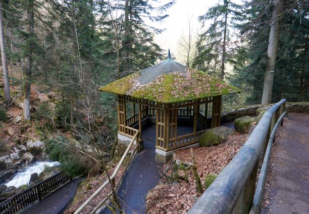 istock moss covered wooden pavilion in the forest 1304242672