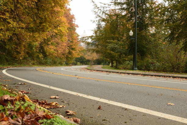 istock Low Angle Streetside Against Autumn Foliage 1304246120