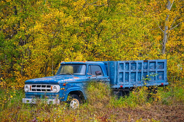 istock Blue Truck in Field 1304247598