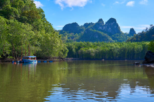 istock Boat river pier on tropical island Langkawi 1304247682