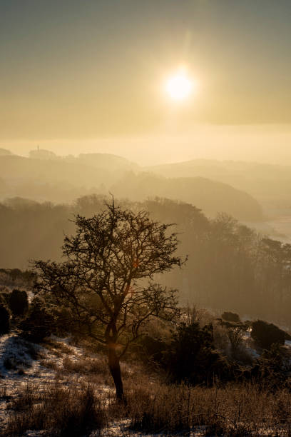 istock Sunrise Over Moens Klint in Denmark. 1304248809