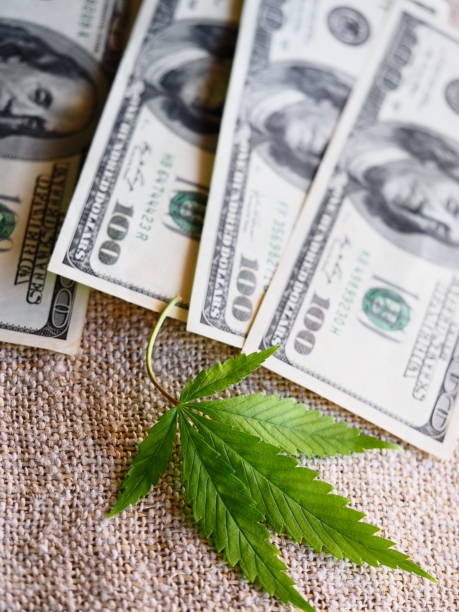 istock business hemp concept. cannabis cloth and dollars. 1304251662