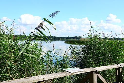 August 23, 2017, Niendorf: View of The Hemmelsdorfer See near Niendorf on the Baltic Sea
