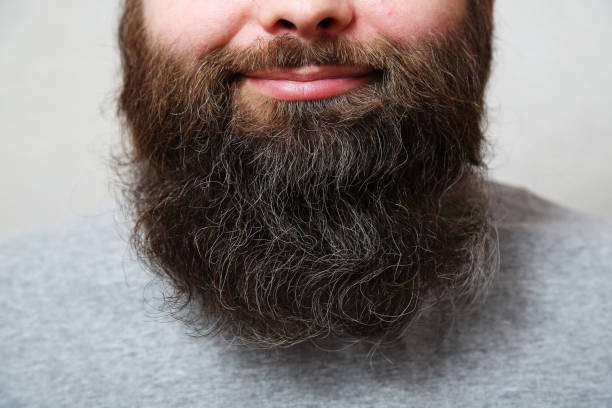 Portrait. The man with the thick beard smiles. The bearded man laughs. Lips, nose, the mouth of a bearded man, close-up. A well-groomed, thick, beautiful beard. Close-up. beard stock pictures, royalty-free photos & images