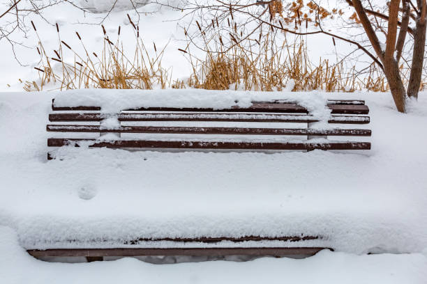 istock The bench in the winter park is covered with snow 1304256814