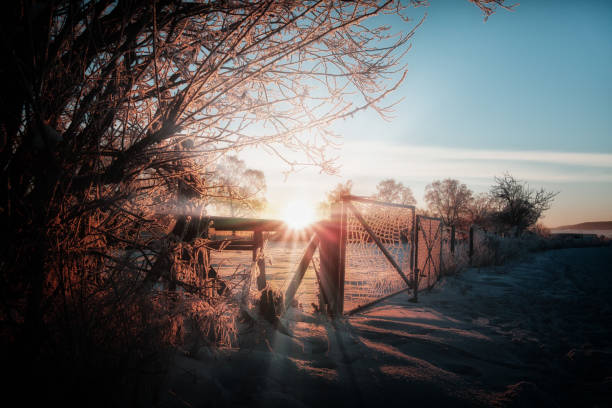 A snow-covered landscape in winter morning sunset