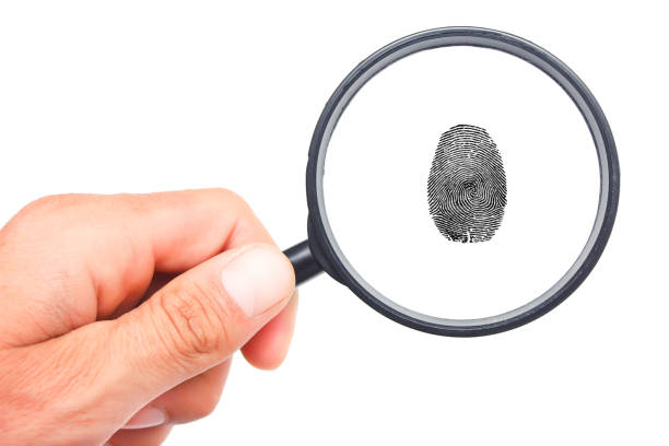 istock Magnifying glass in hand and fingerprint isolated on white background 1304259046