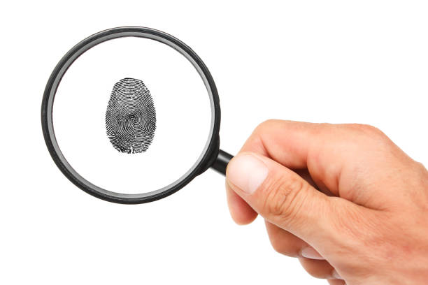 istock Magnifying glass in hand and fingerprint isolated on white background 1304259071