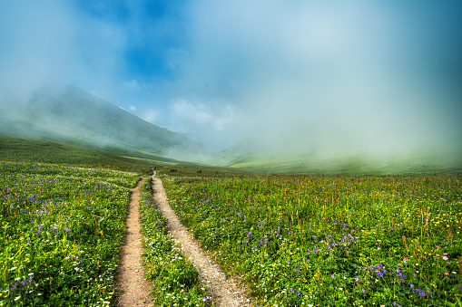 Footpath through the green valley in the mountains of Caucasus