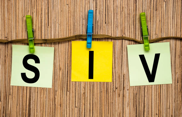 istock SIV Business Customer Management Analysis Service Concept Business team 1304260627