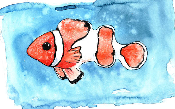 ilustrações de stock, clip art, desenhos animados e ícones de watercolor illustration of a clown sea fish red and white with black stripes on a blue background - animals and pets isolated objects sea life