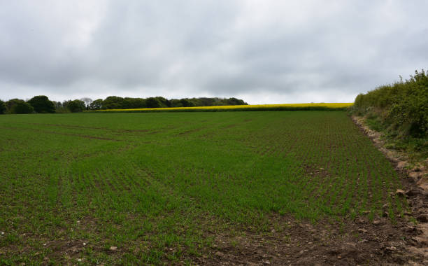 istock Stunning Landscape in England Along Coast to Coast Walk 1304261286