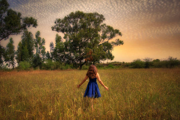 young long-haired woman in blue dress walks in the wheat field at sunset stock photo