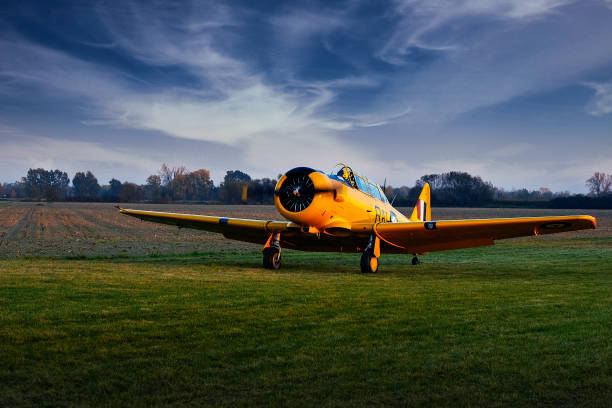 istock Historical aircraft on a meadow. 1304262296