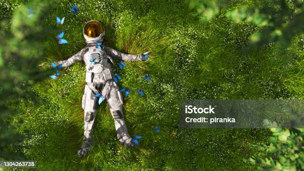 Astronaut Lying In The Meadow Stock Photo - Download Image Now - Flower, Astronaut, Aspirations
