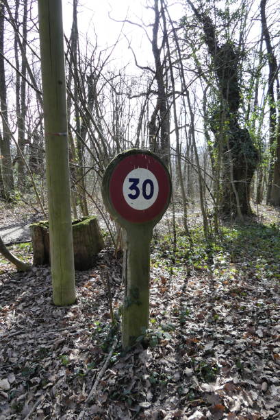 istock Weird signalisation in the woods 1304264505