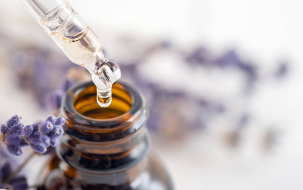 istock Essential oil with a dropper pipette and lavender branches on a white background with copy space. Brown glass cosmetic bottle, serum 1304265890
