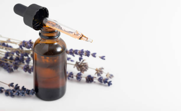 istock Essential oil with a dropper and lavender branches on a white background with copy space. Brown glass cosmetic bottle, serum 1304265900
