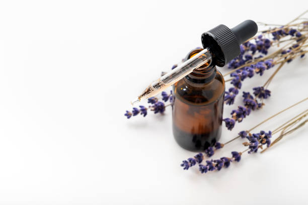 istock Essential oil with a dropper and lavender branches on a white background with copy space. Brown glass cosmetic bottle, serum 1304265906