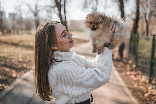 Young beautiful woman playing in park with small furry puppy in park