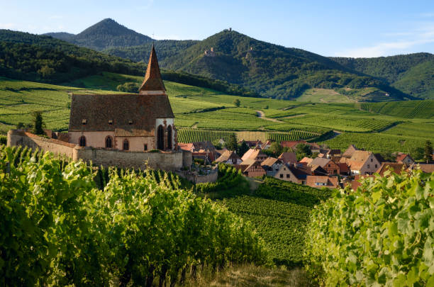 chiesa di saint-jacques-le-major a hunawihr, francia - france scenics europe alsace foto e immagini stock