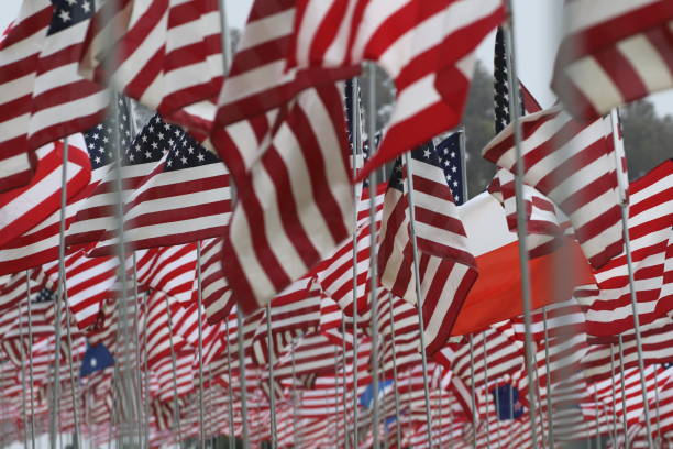 istock Field of USA Flags 1304274506