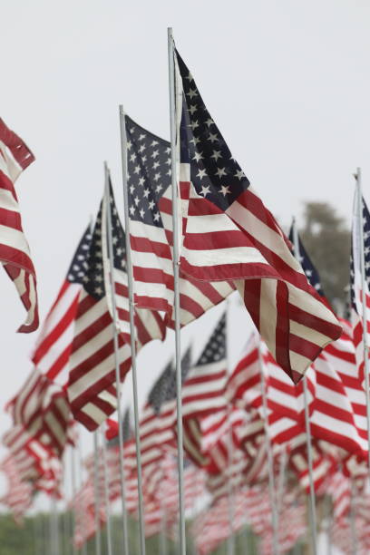 istock Field of USA Flags 1304275060