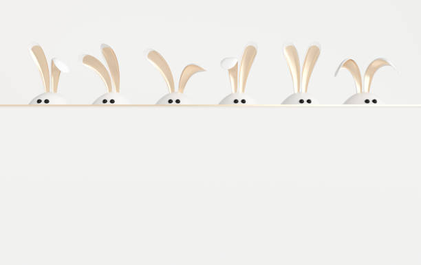 White Easter egg with rabbit ears, eyes on white background. Party events poster, mockup template with copy space.  Religious April holiday - Easter. Cute bunny egg
