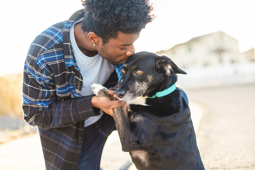 In Western Colorado African American Generation Z Male Spending Time with his Pet Dog Photo Series (Shot with Canon 5DS 50.6mp photos professionally retouched - Lightroom / Photoshop - original size 5792 x 8688 downsampled as needed for clarity and select focus used for dramatic effect)