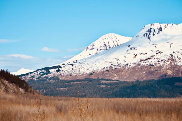 istock Alaska tundra 1304284914