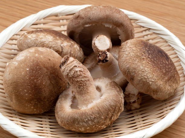 istock Japanese shiitake mushrooms 1304286401