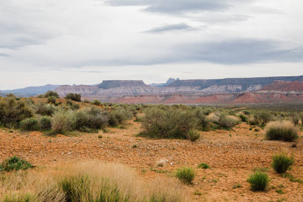 Southwestern desert landscape on cloudy day