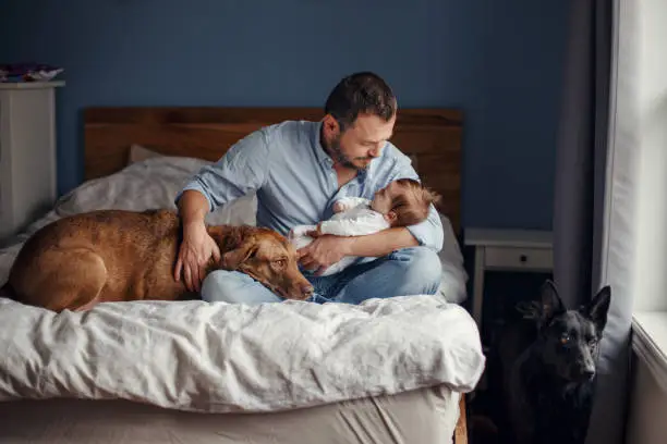 Photo of Middle age Caucasian father with sleeping newborn baby girl. Parent holding rocking a child daughter son in hands. Authentic lifestyle parenting fatherhood moment. Single dad family home life.