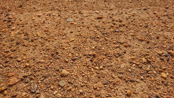 istock Dusty red Sand and plant macro desert land 1304292482