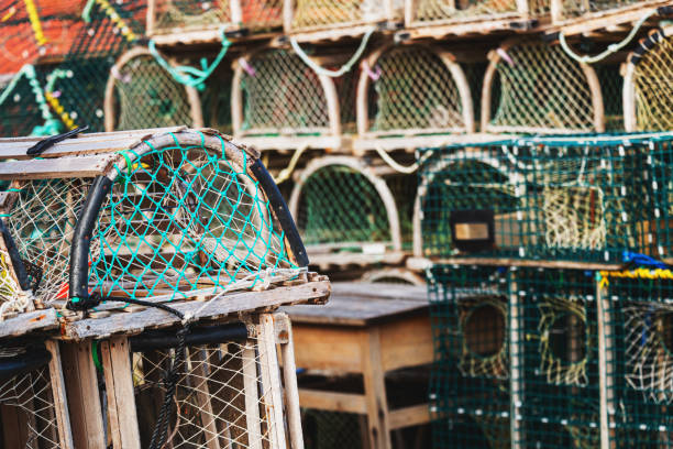 istock Wooden Lobster Traps 1304295234