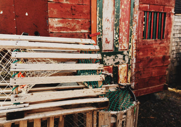 istock Wooden Lobster Traps 1304295277