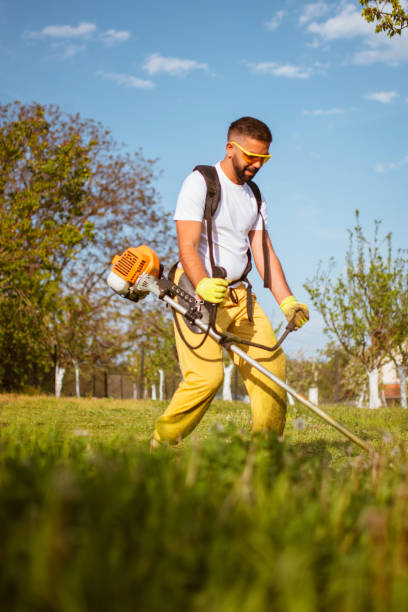 istock A man mows the thick grass with a gasoline trimmer 1304296791