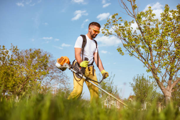 istock A man mows the thick grass with a gasoline trimmer 1304296833