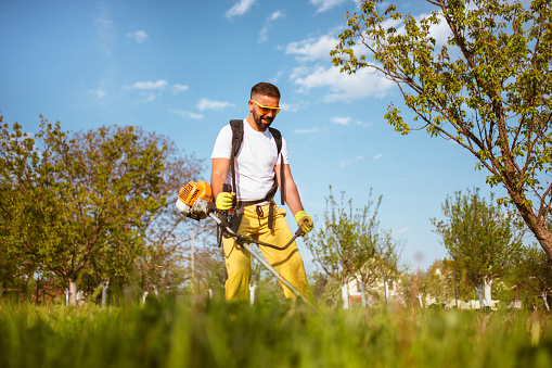 A man mows the thick grass with a gasoline trimmer. The lawn mower's work.