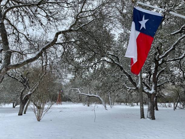 texas landschaftsszene im schnee - texas state flag stock-fotos und bilder